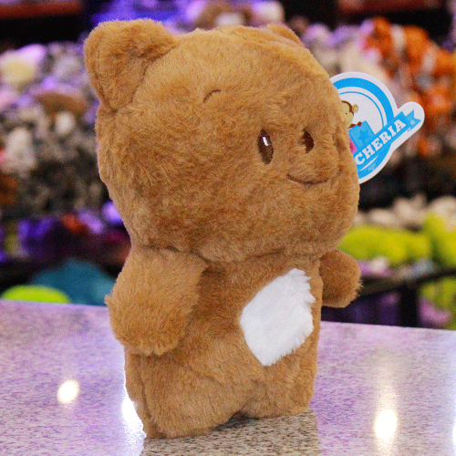 oso_wiki_cafe_de_peluche_Y565-4