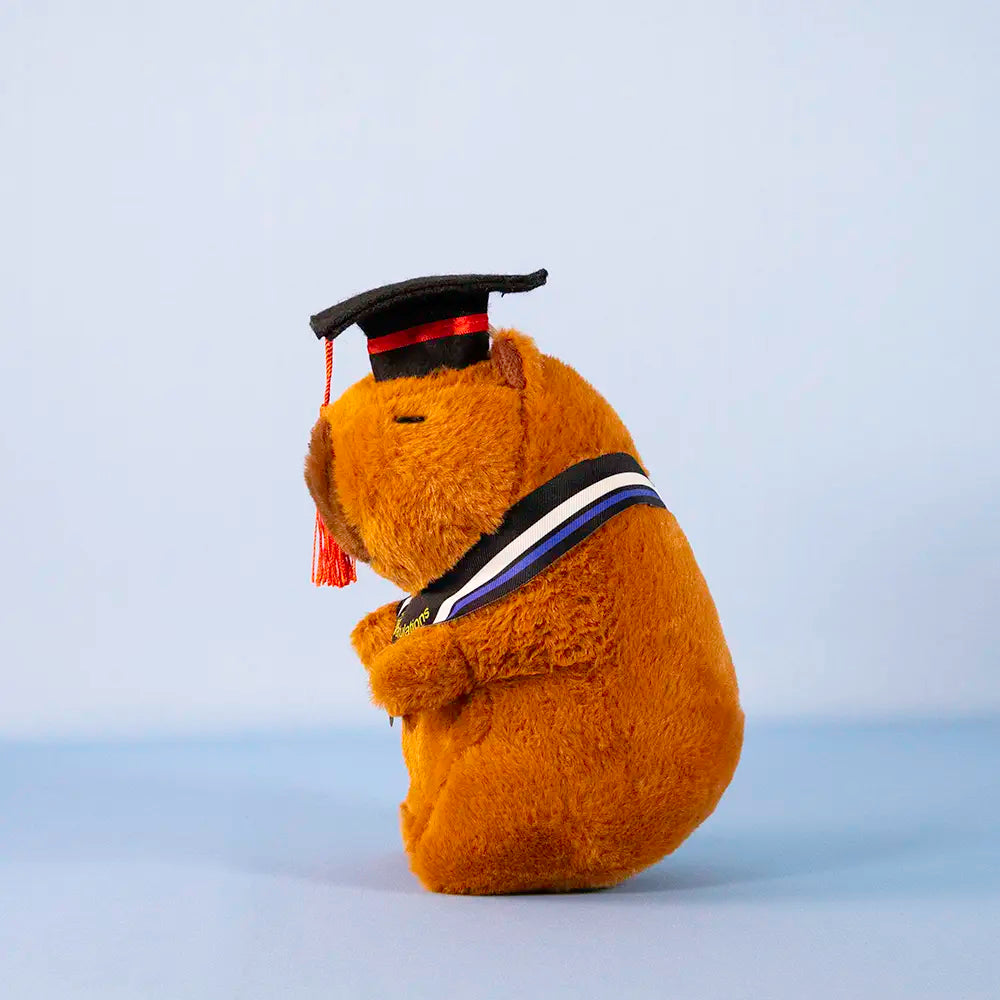 Capibara de peluche graduada, peluches para graduación, eventos y decoración. 
peluche con birrete para graduacion