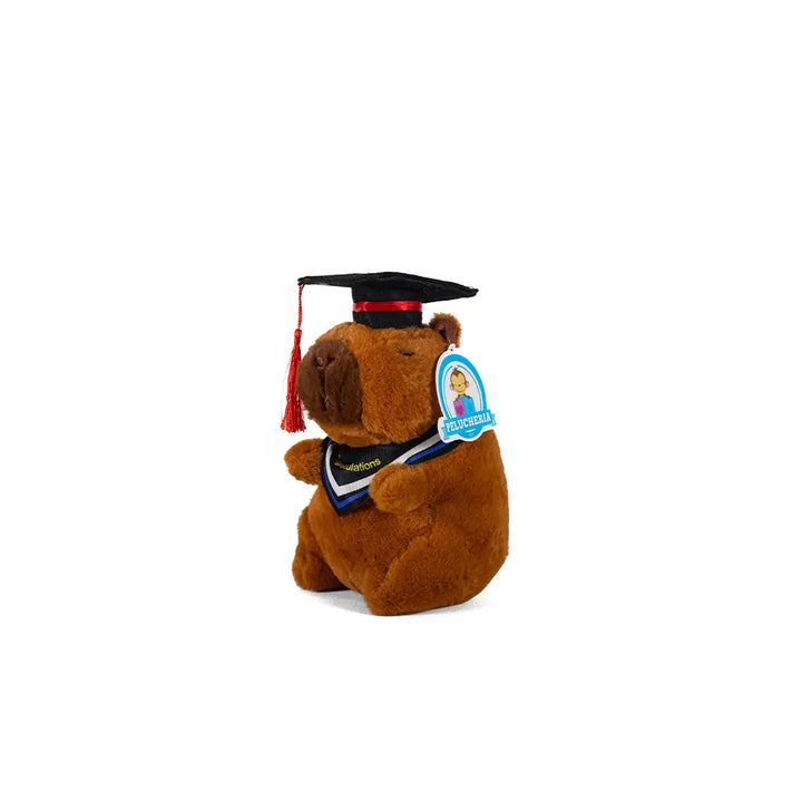 Capibara de peluche graduada, peluches para graduación, eventos y decoración. 
peluche con birrete para graduacion