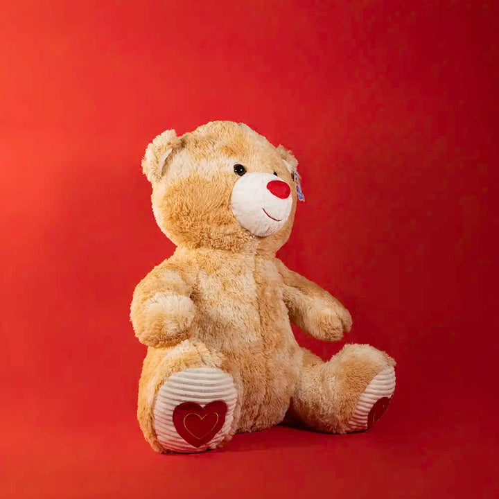 Oso de peluche gigante Rodo 60 cm