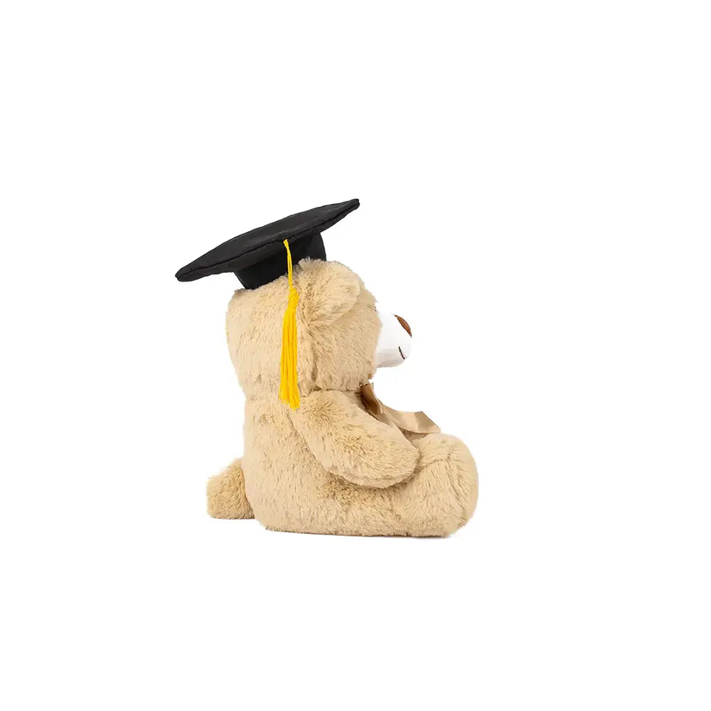Set de 12 Piezas Oso de peluche Teo Graduación 25cm