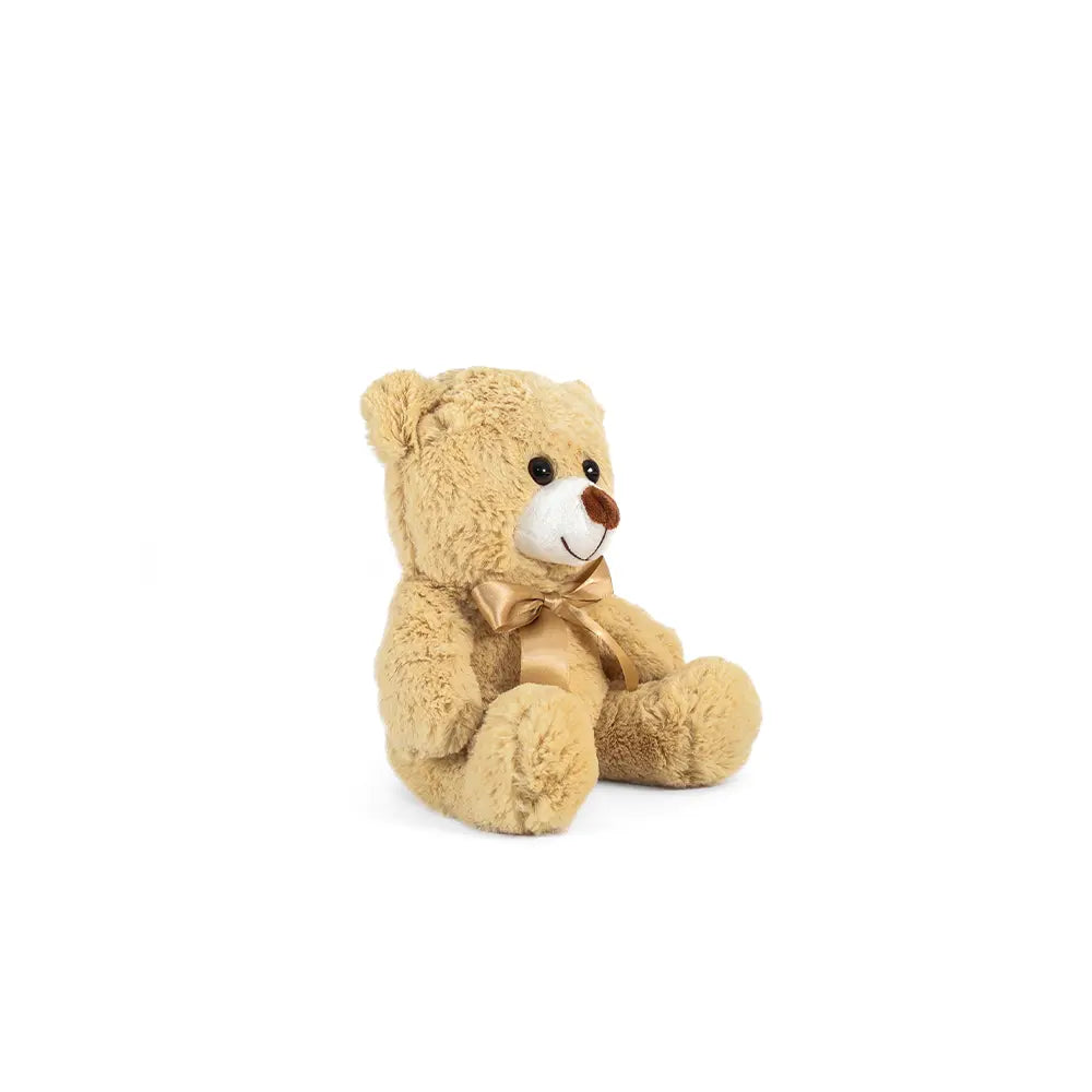 Set de 12 Piezas Oso de peluche Teo 25cm