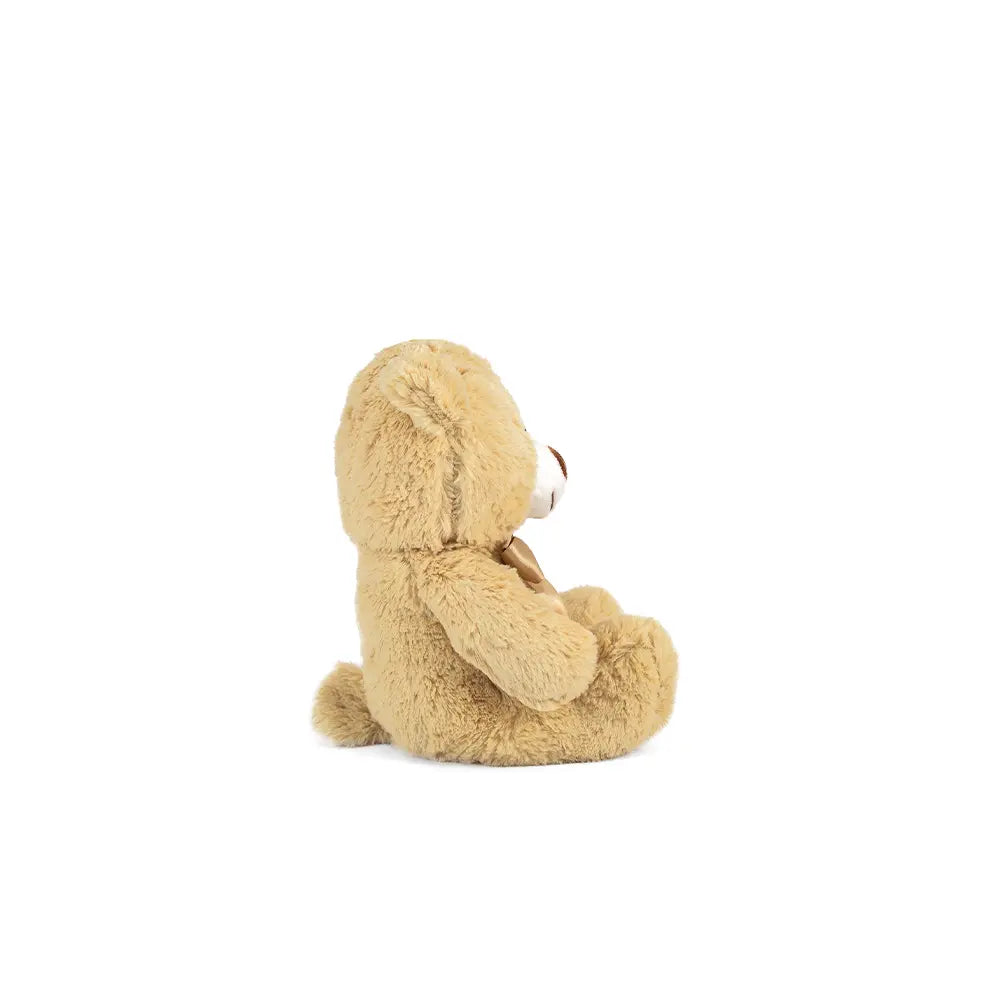 Set de 12 Piezas Oso de peluche Teo 25cm