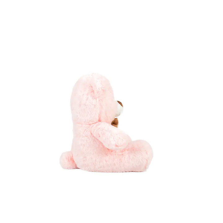 Set de 12 Piezas Oso de peluche Teo Rosa 25cm