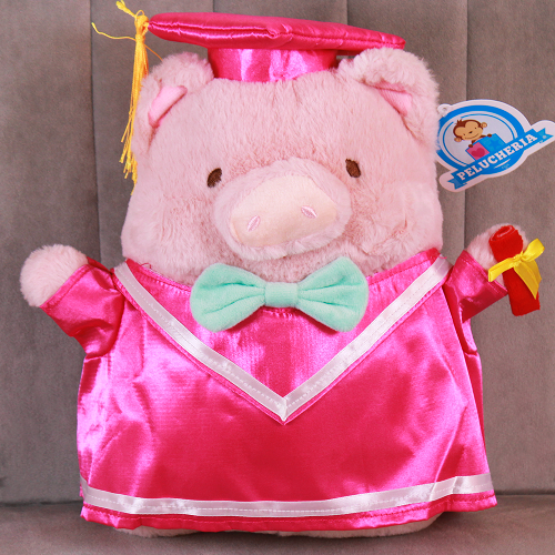 peluche para graduación 