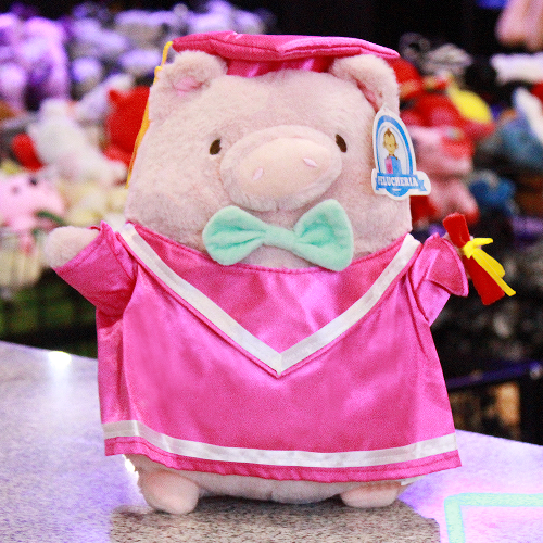peluche para graduación 