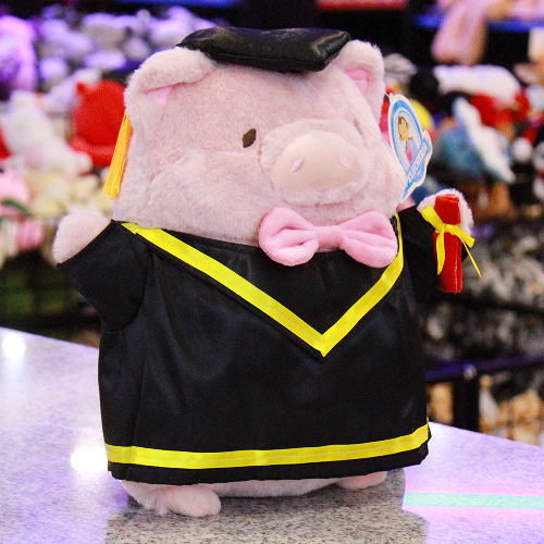 peluche para graduación 