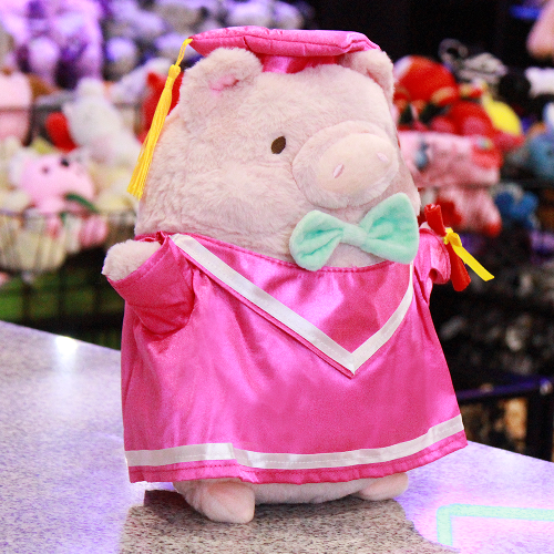 peluche para graduación
