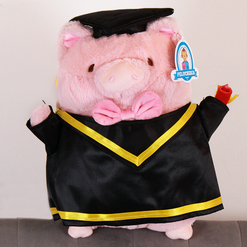 peluche para graduacion 