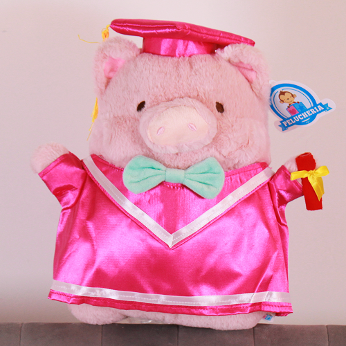 peluche para graduación 