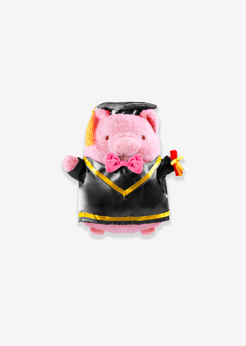 peluche para graduación