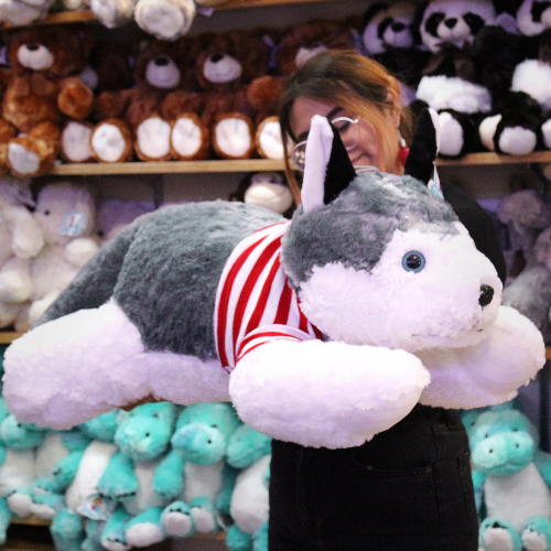 perro_husky_jumbo_Y468-2