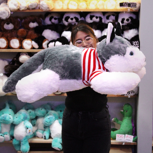 perro_husky_jumbo_Y468-4