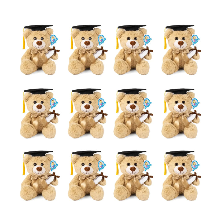 Set de 12 Piezas Oso de peluche Teo Graduación 25cm